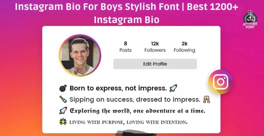 Instagram Bio For Boys Stylish Font​