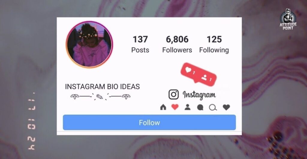 Instagram VIP Bio For Girls